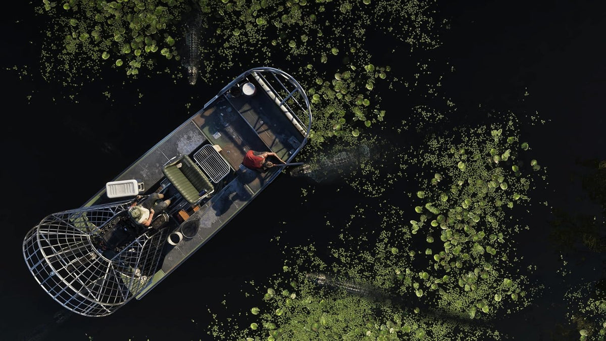 Grand Theft Auto VI